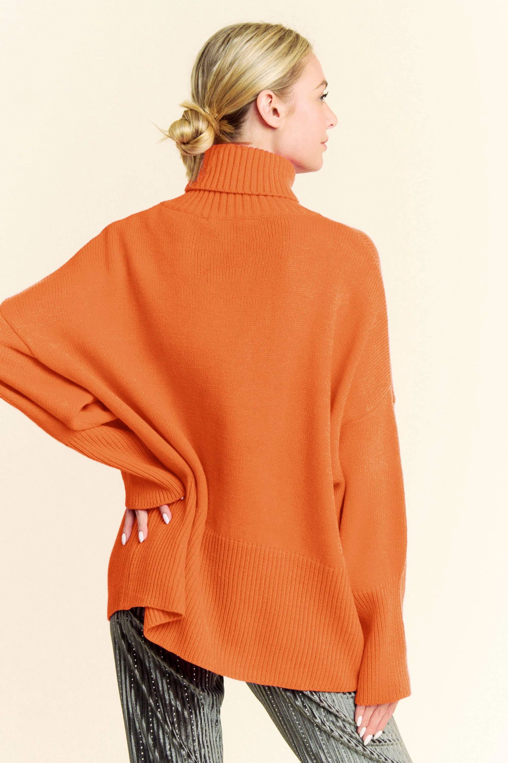 Turtle Neck Knit Sweater